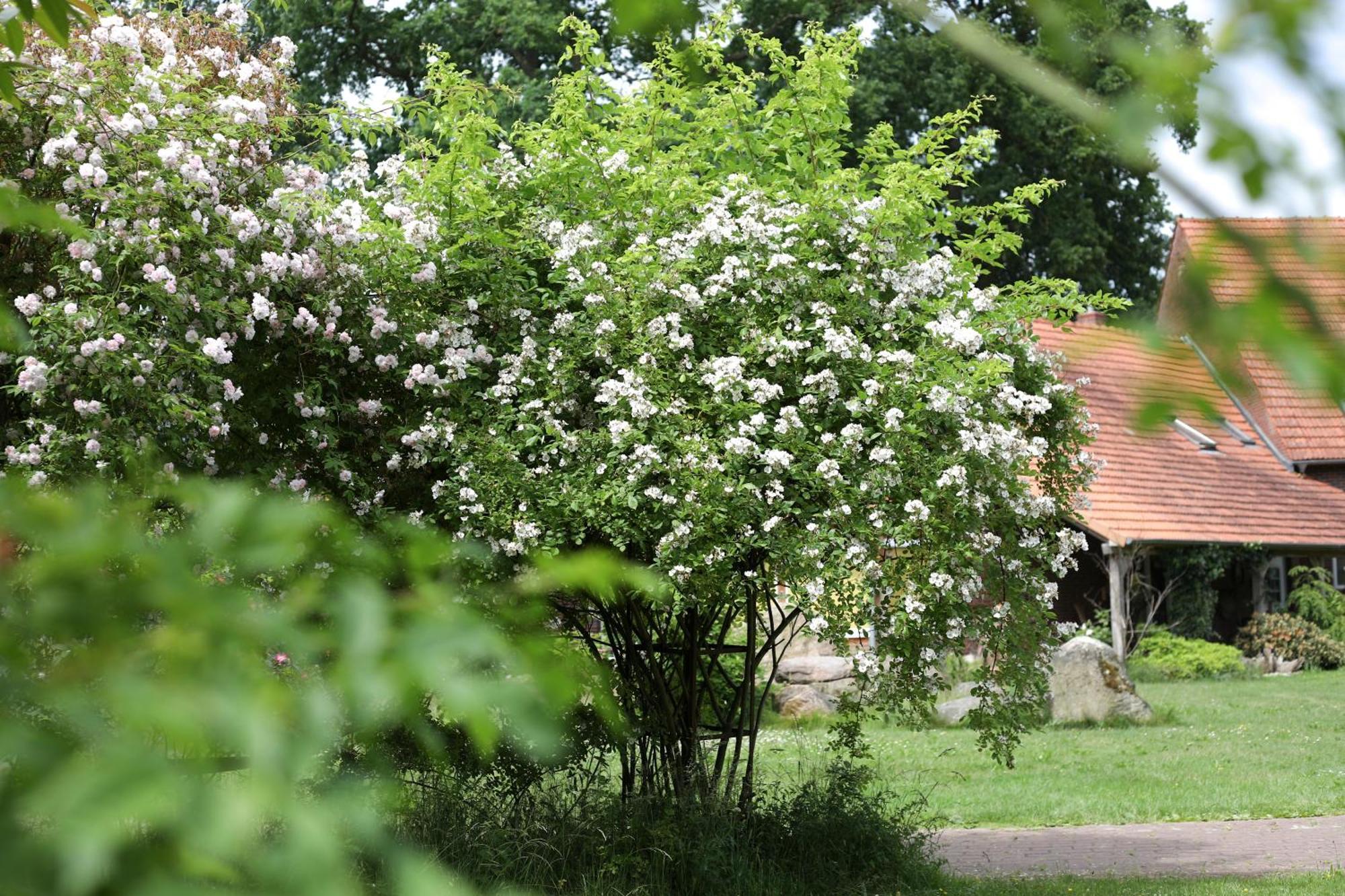 Sophienhof Achternholt Hotel Wardenburg Kültér fotó